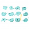 Set de 12 Prises Taille Large pour mur d'escalade  First Holds