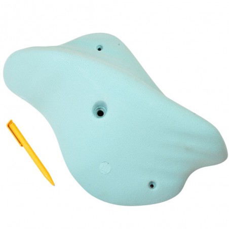 une belle pince first holds