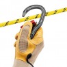 Mousqueton Petzl Vertigo Twist Lock Sécurisé