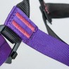 BEAL AEROTEAM IV | Harnais d’escalade collectif