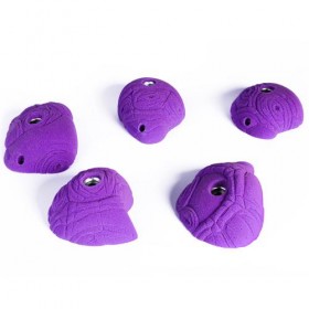 Alien Eggs
