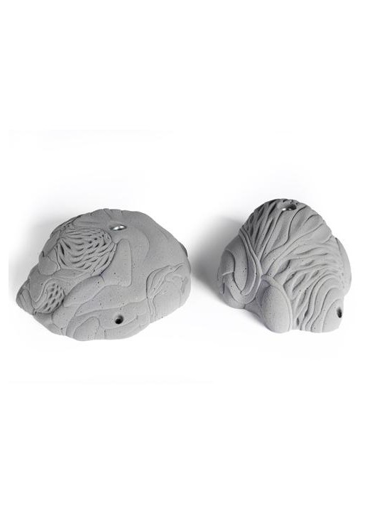 Grid Mega Slopers Vertex 2 gros plats aux formes genereuses Les Arts de la Grimpe