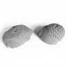 Grid Mega Slopers Vertex 2 gros plats aux formes genereuses Les Arts de la Grimpe