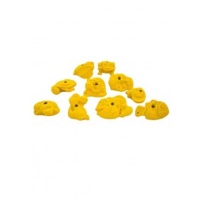Animals Jugs L I
