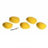 5 gros plats Volx holds