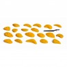 Set de 20 prises de taille S/M PROLINE  Volx Holds