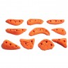 Curves M 10 prises escalade First Holds de taille M