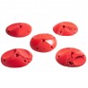 Flats L2 : 5 prises Pinces ou Règles First Holds