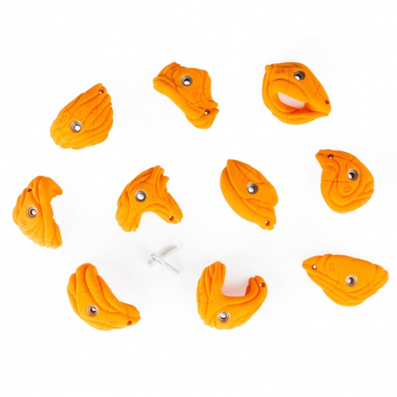 prehensions variées pour ce lot de prises agripp