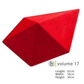 Volume  17