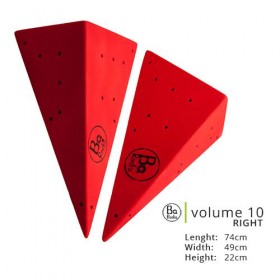 Volume 10