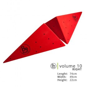Volume 10