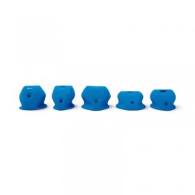 Alpha Pinches L II PE
