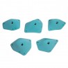 Accurazy L2 : 5 prises L - Next Climbing Holds en PU