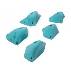 Serie de 5 belles et grosses prises signées par Next