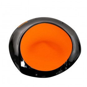 Mastodont 5