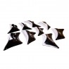 Hydra Set | Volumes escalade fibre Dual Text.