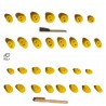 une jolie serie de 15 prises avec des petites bordures