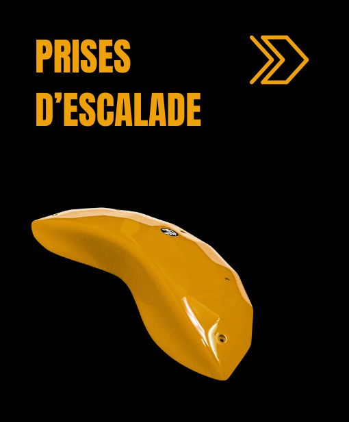 Prises  D'escalade